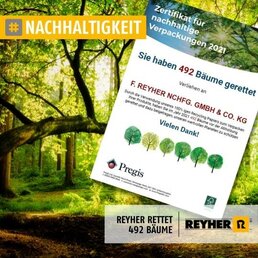 Reyher_rettet_492_Baeume